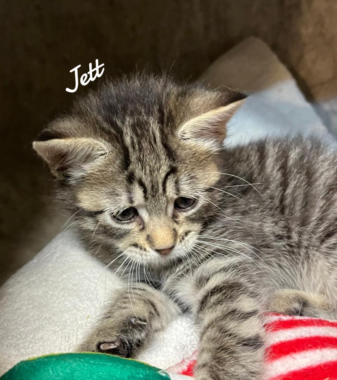 Jett