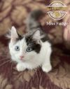 Miss Fudge photo 2