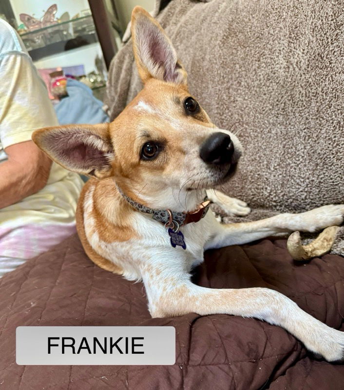 Frankie