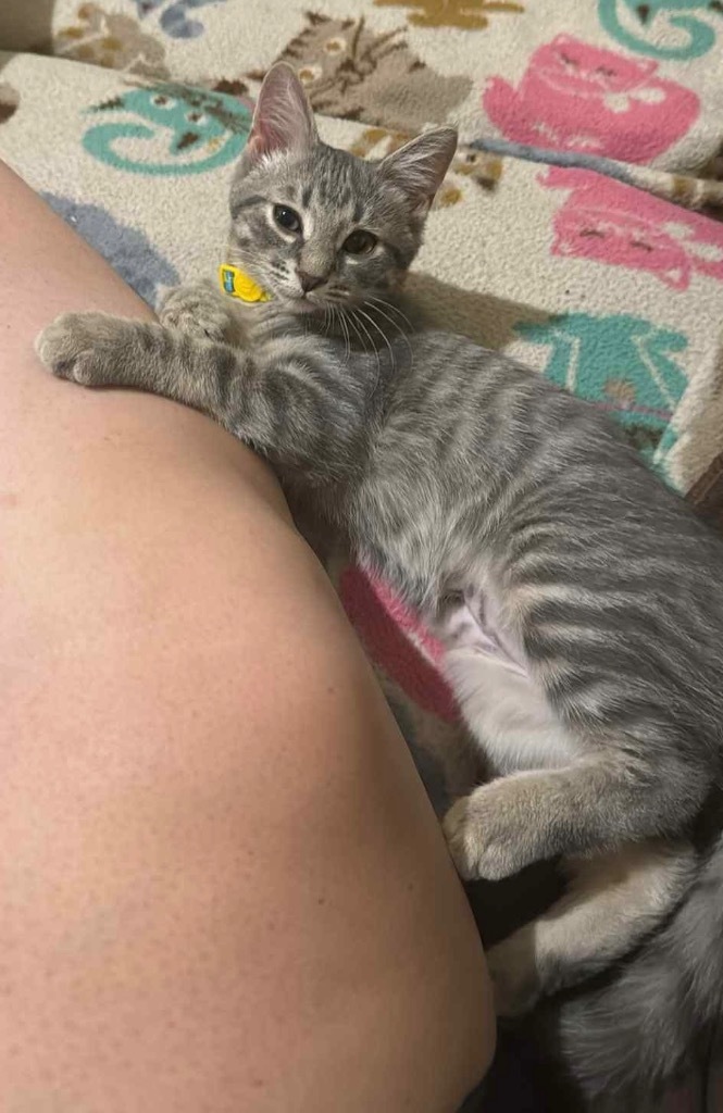 Coda