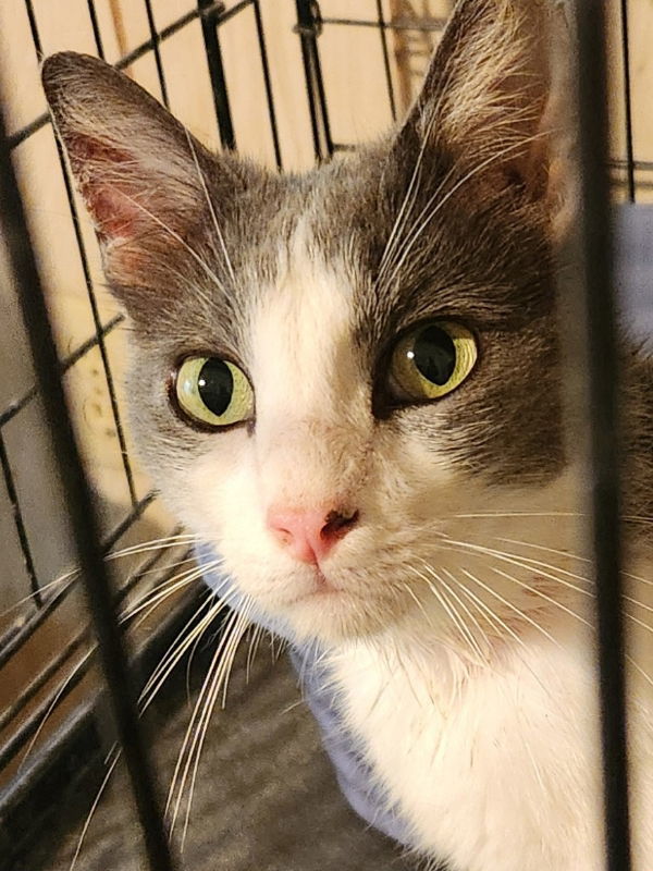Georgia Hope (Gus)