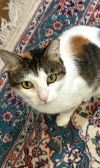 Dinah - JUST As lovely as her name! photo 2