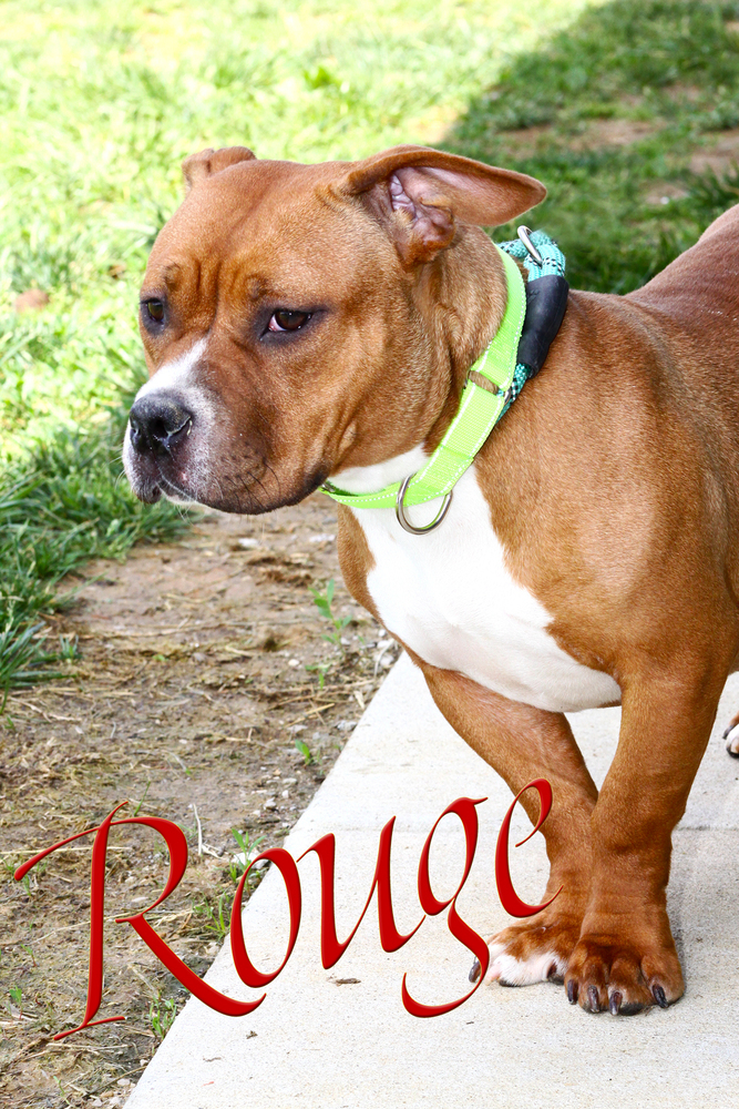 Rouge