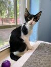 Maybelle photo 2