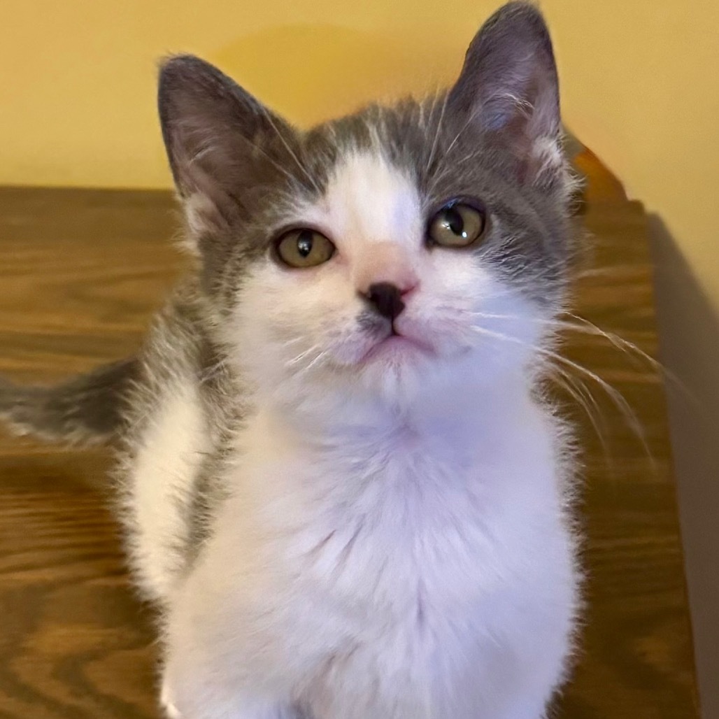 Sam