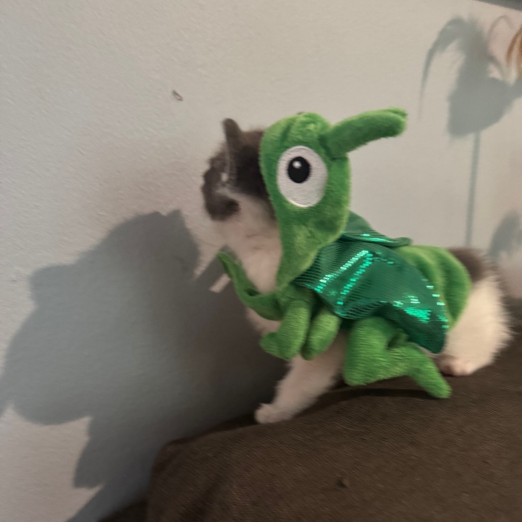 Sam