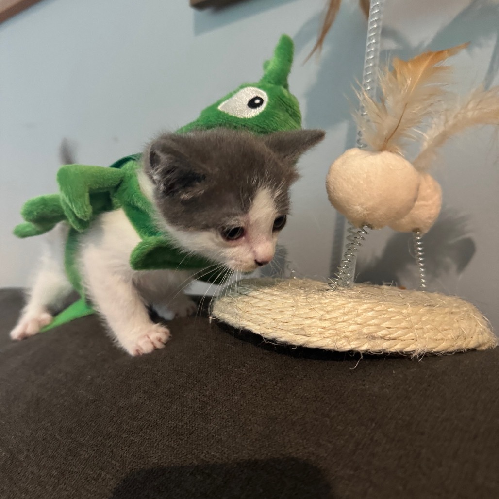 Sam