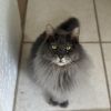 Grandpa Fluffy photo 2