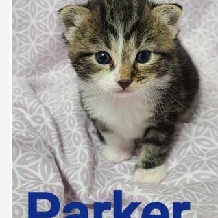 Parker