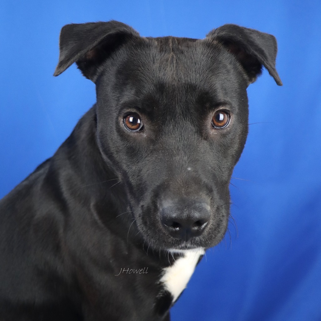 Gomer- 022809T