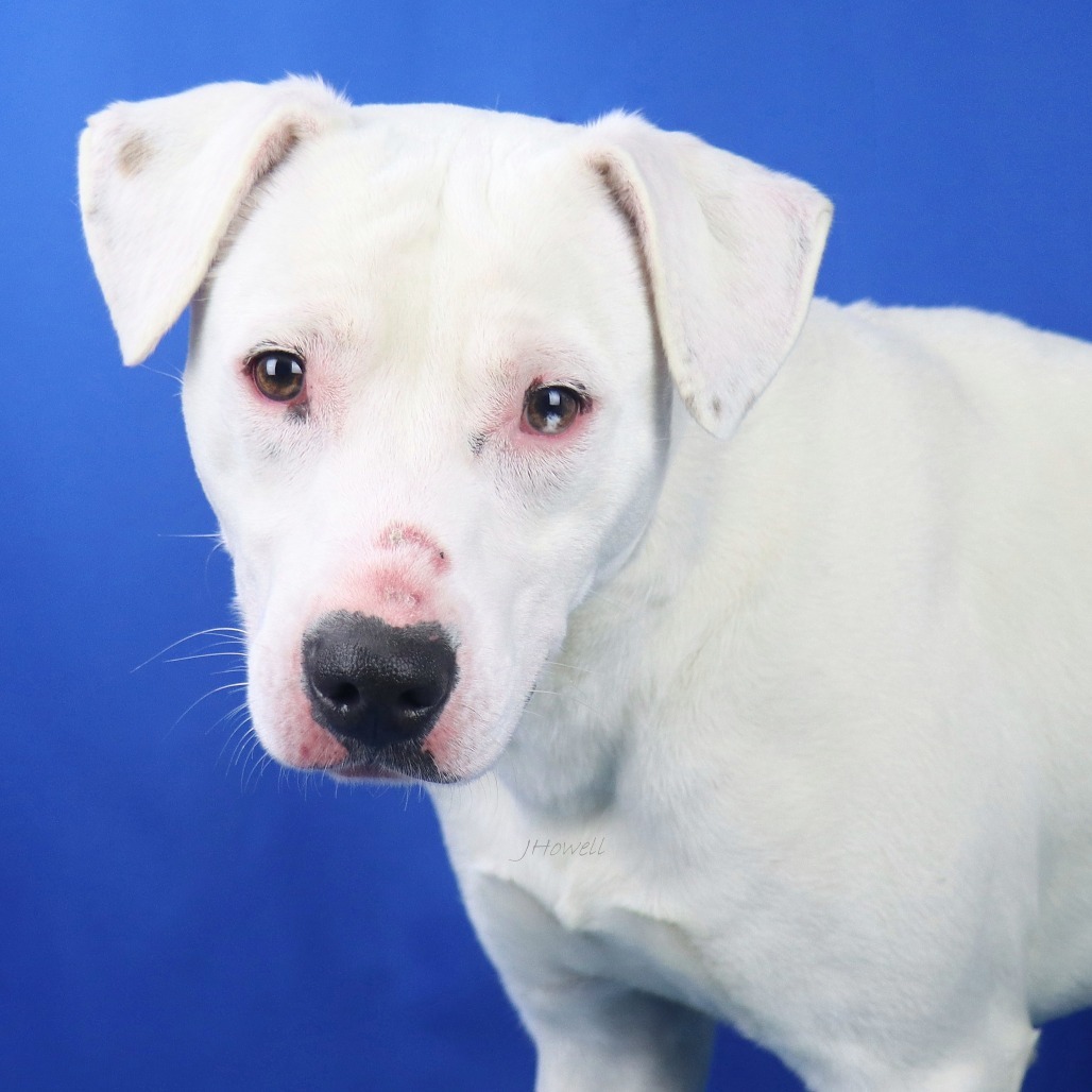 Arwen (Walter)- 011803T