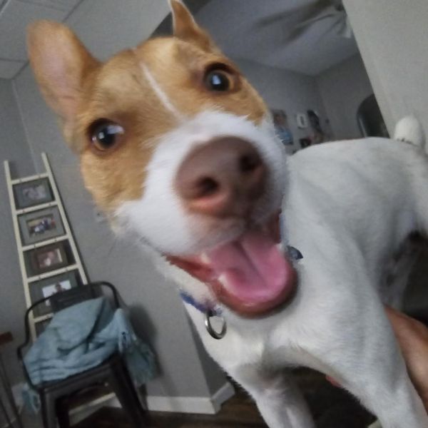 Cooper thumbnail 2