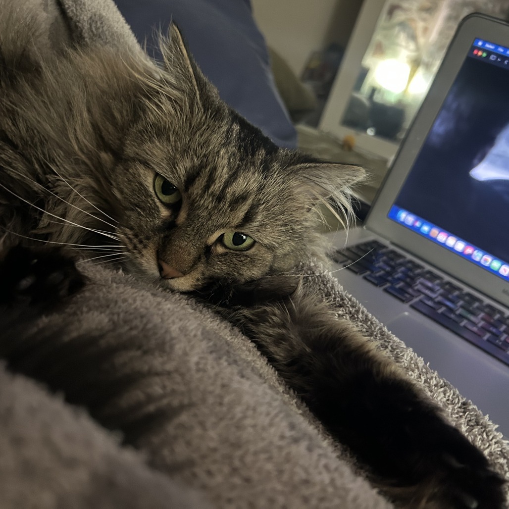 Lynx