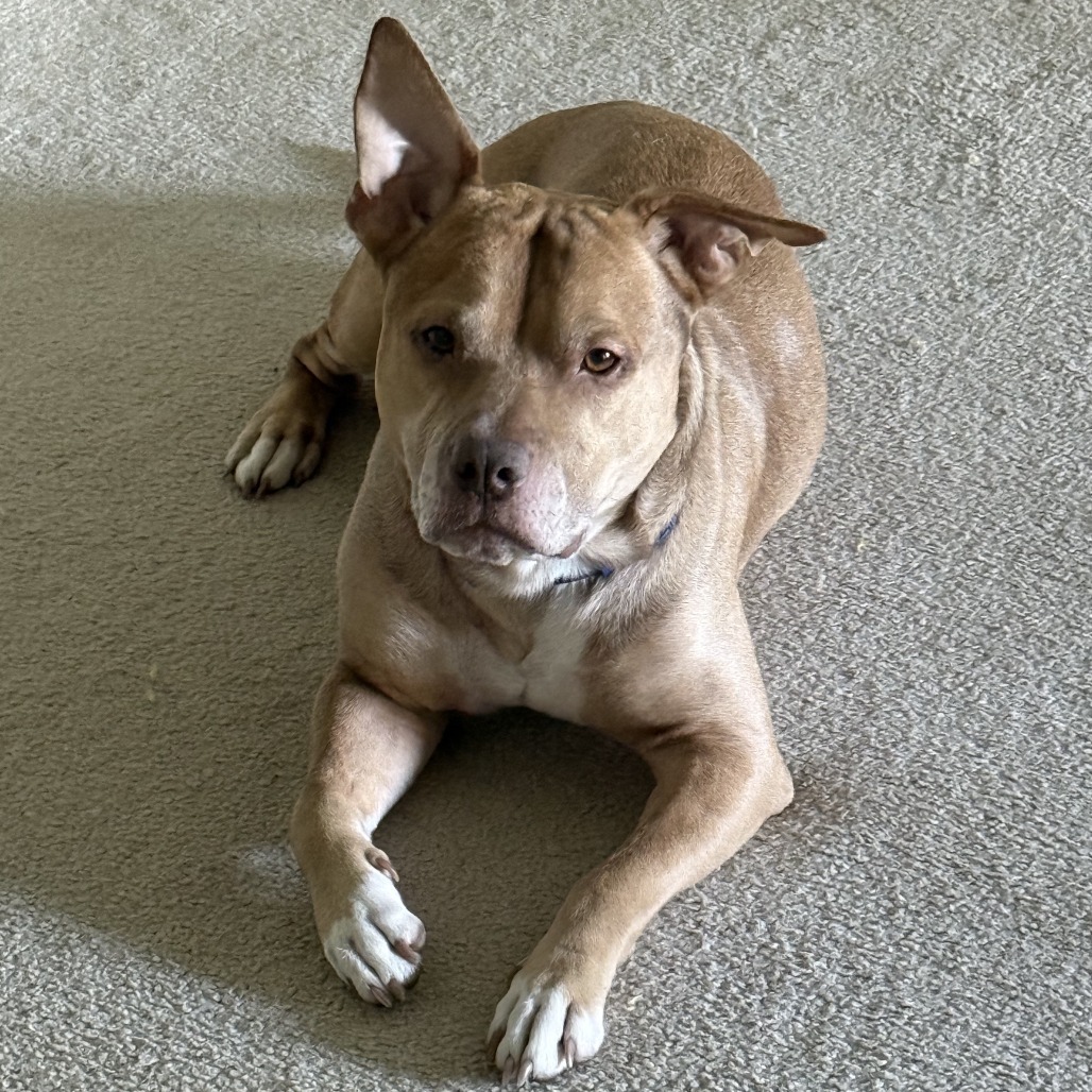 Esco
