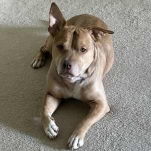 Esco, Senior Male unknown
