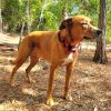 Zeke photo 3