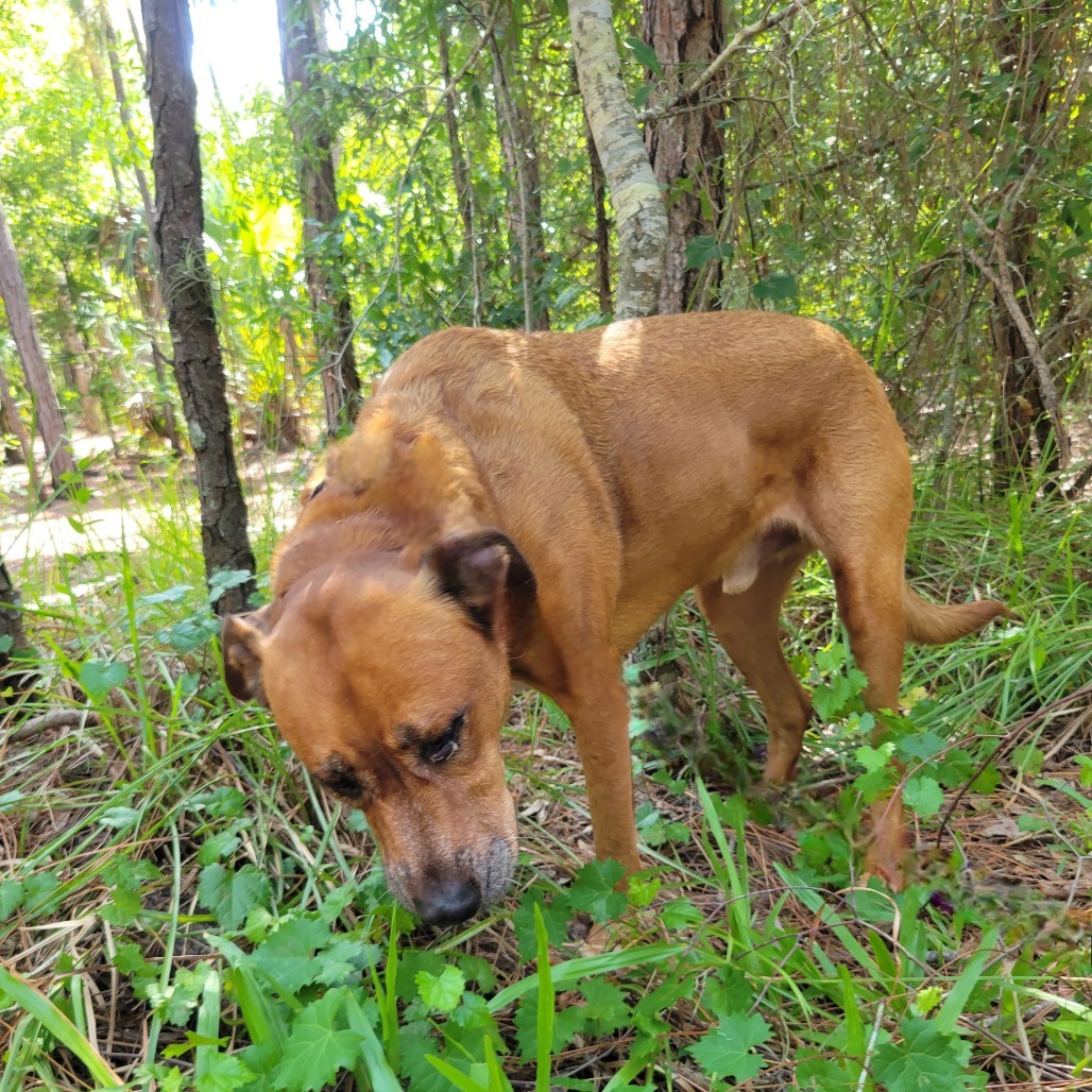 Zeke