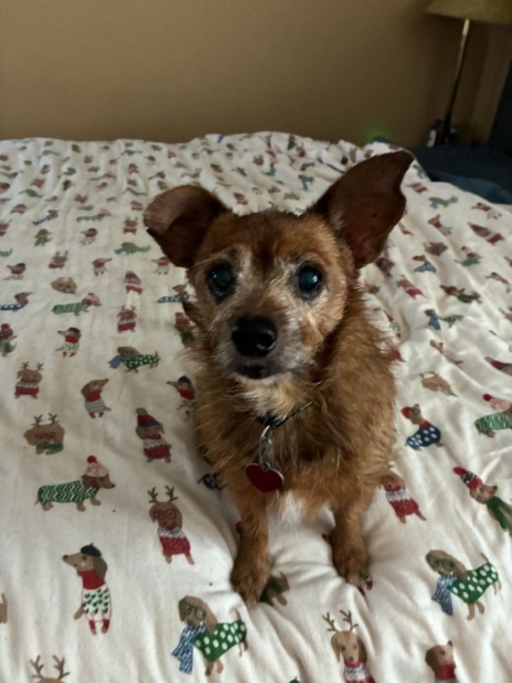 Tinkerbell 1