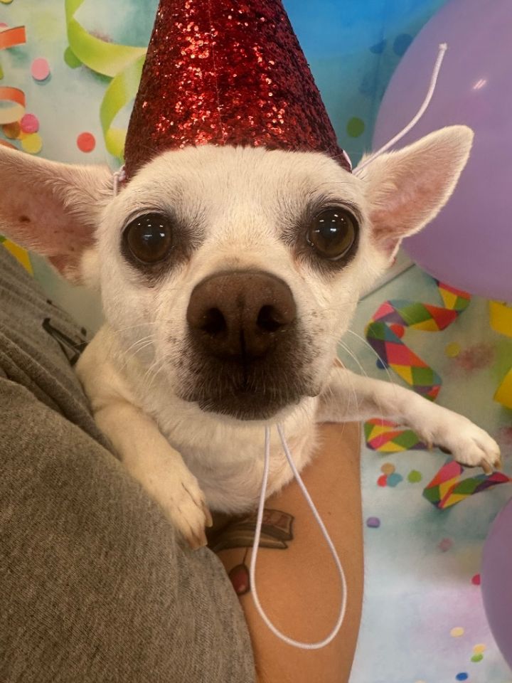 Missy 1