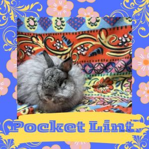 Pocket Lint