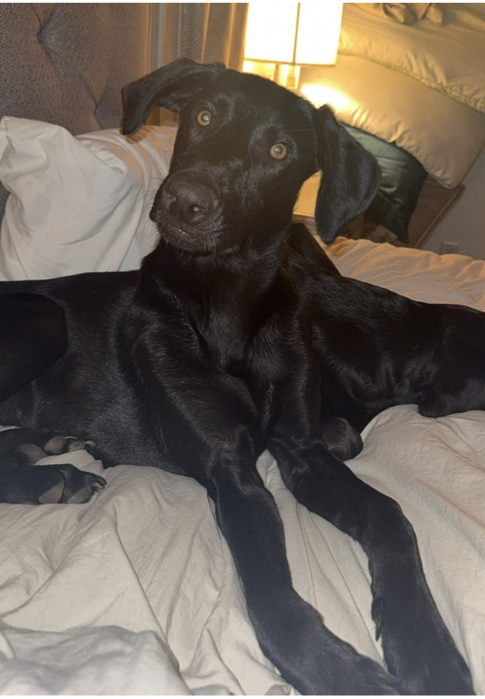 Sam