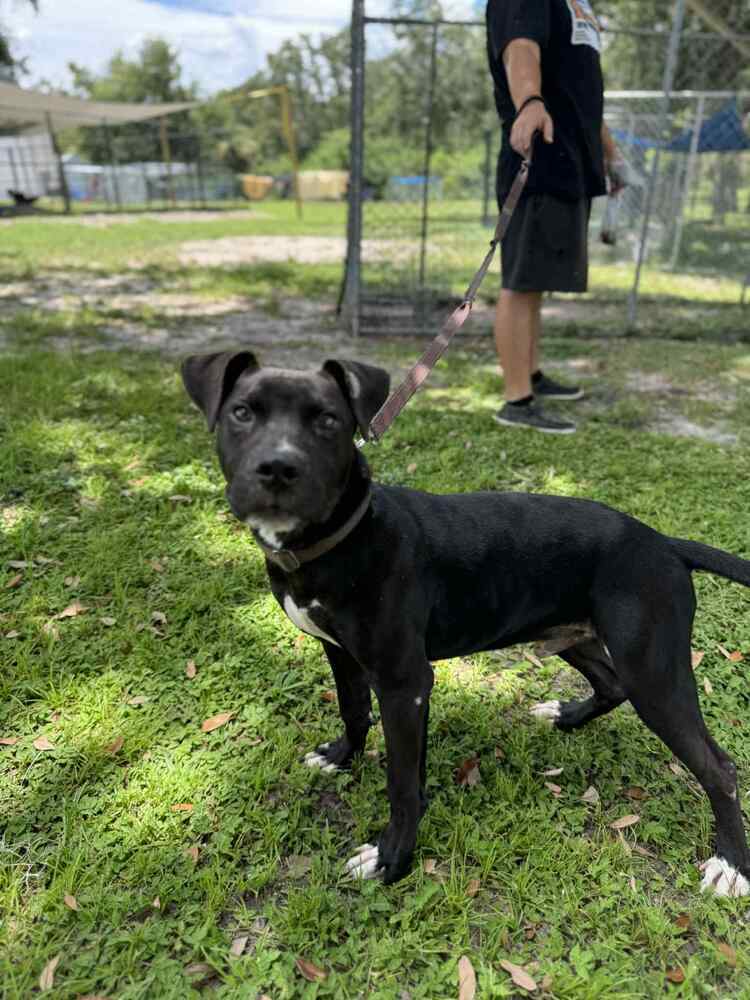 Zuko
