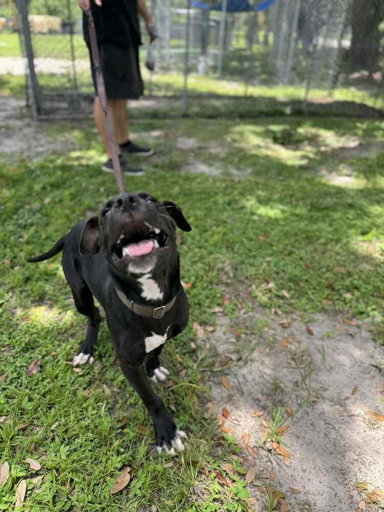 Zuko