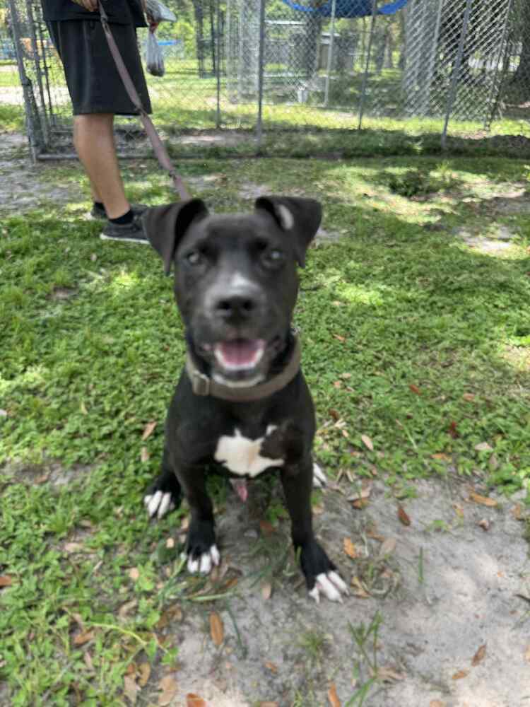 Zuko