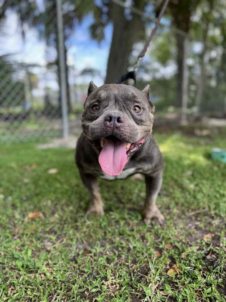Nickel