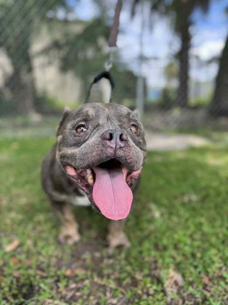 Nickel
