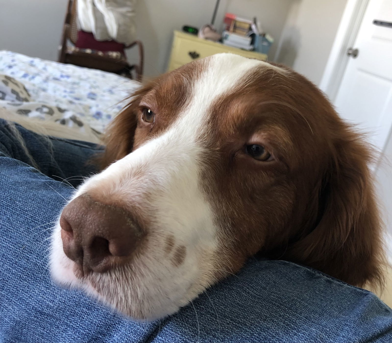 MI/Buddy UP