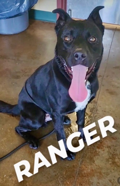 Ranger