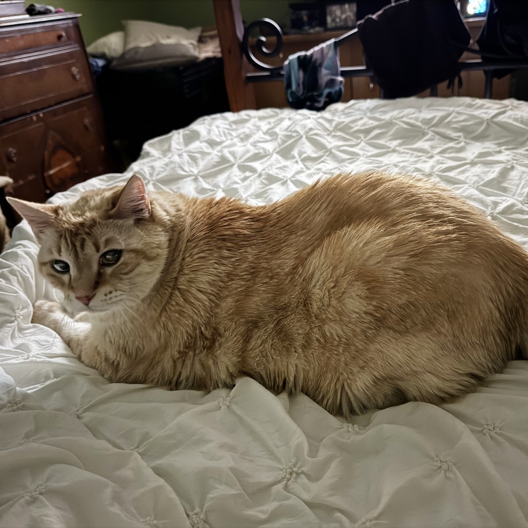 Charlie