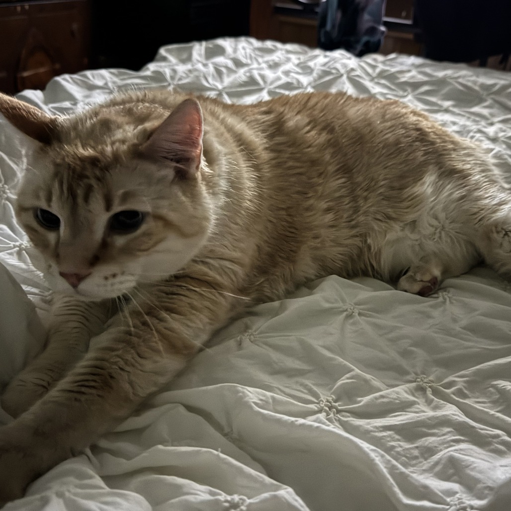 Charlie