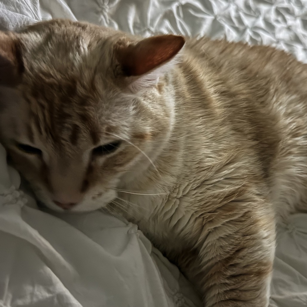 Charlie