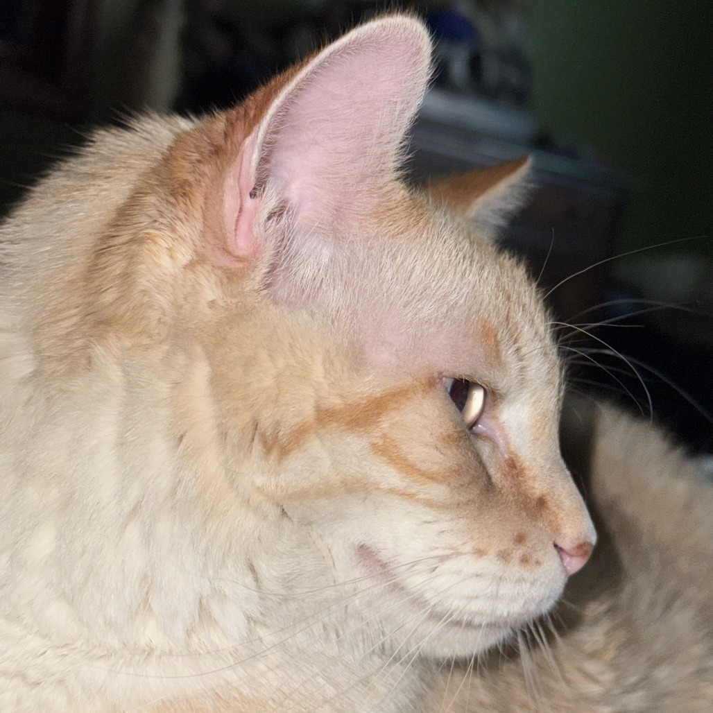 Charlie