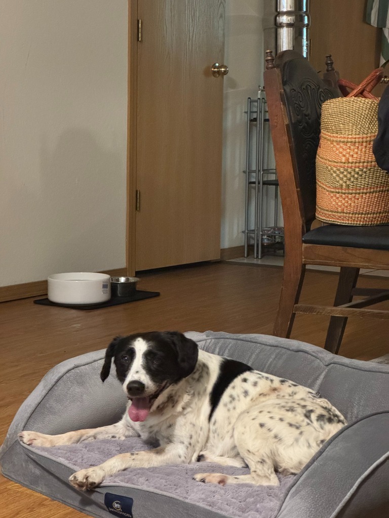 Molly