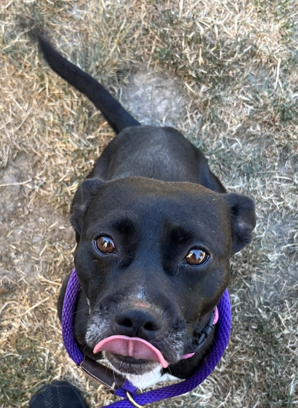 Tyson