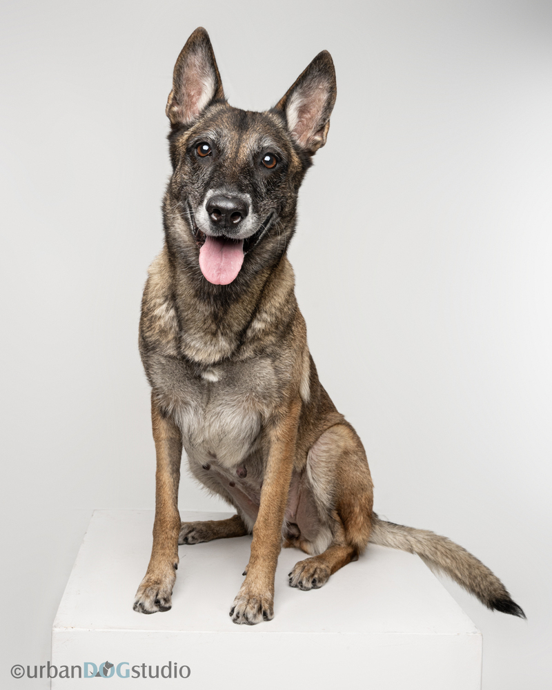 Maggie May - Located in Florida