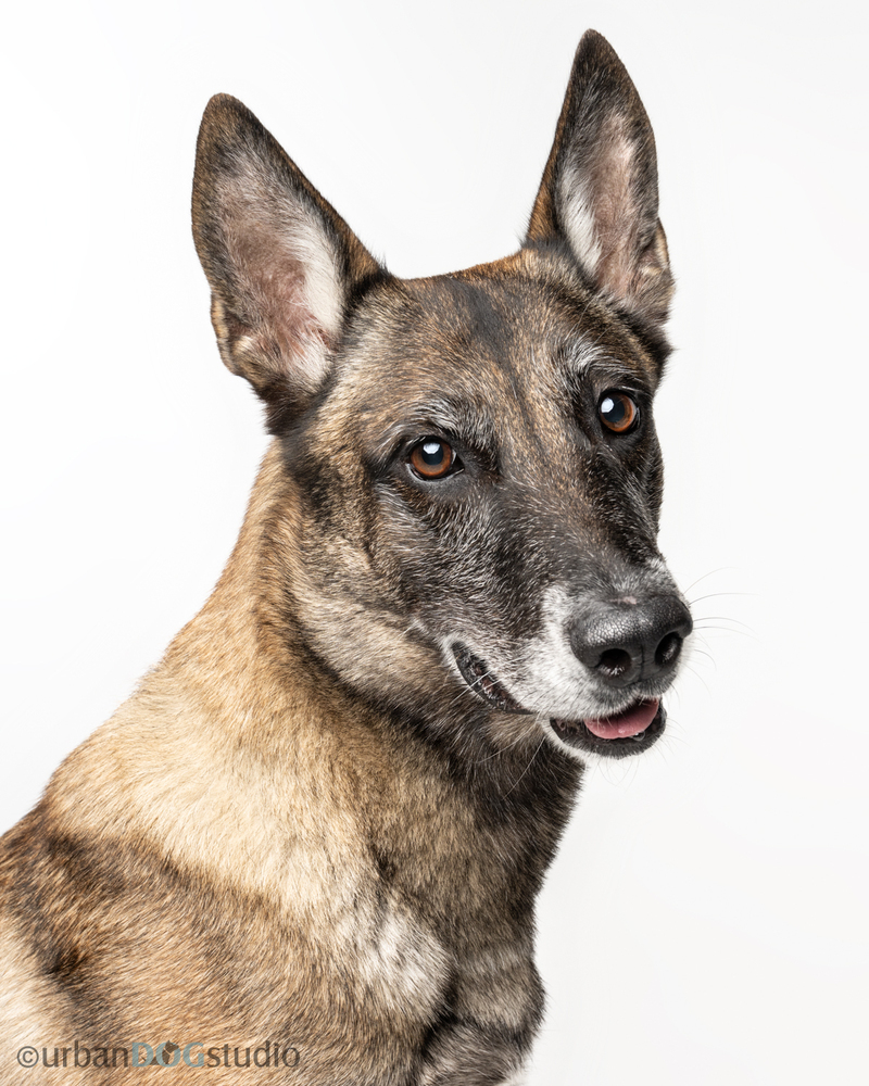 Maggie May - Located in Florida