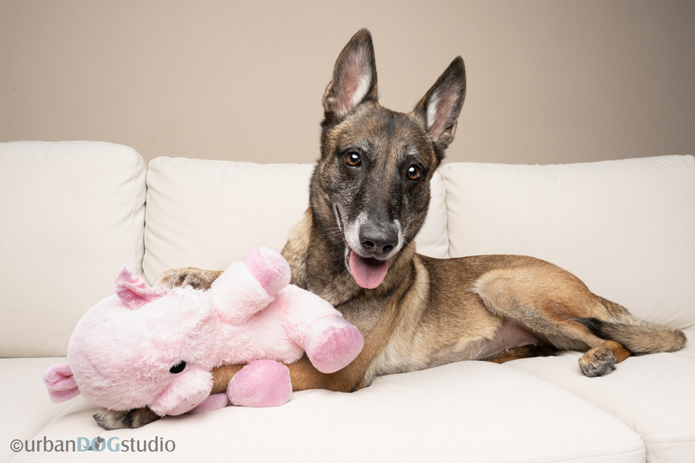 Maggie May - Located in Florida