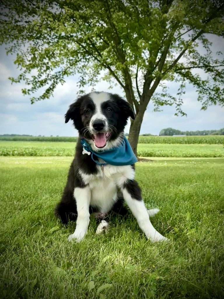Titan