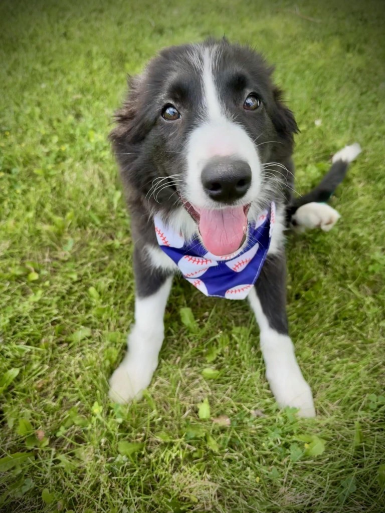 Loki