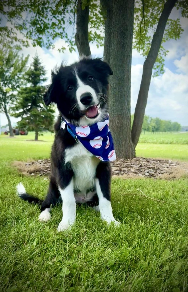 Loki