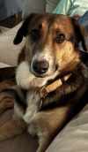 Riley photo 2