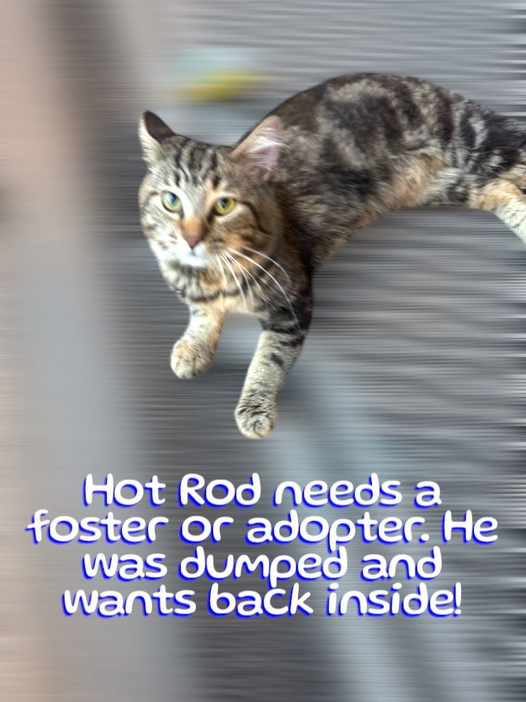 Hot Rod