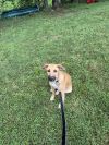 Zuri