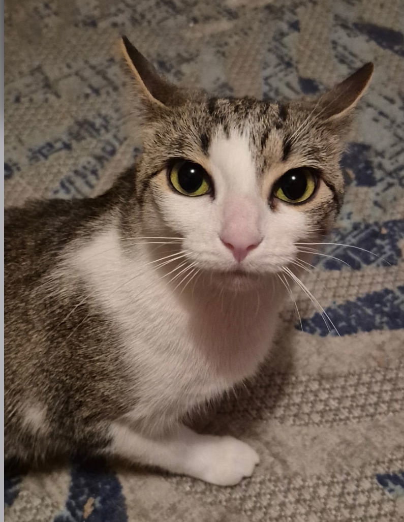 Chloe