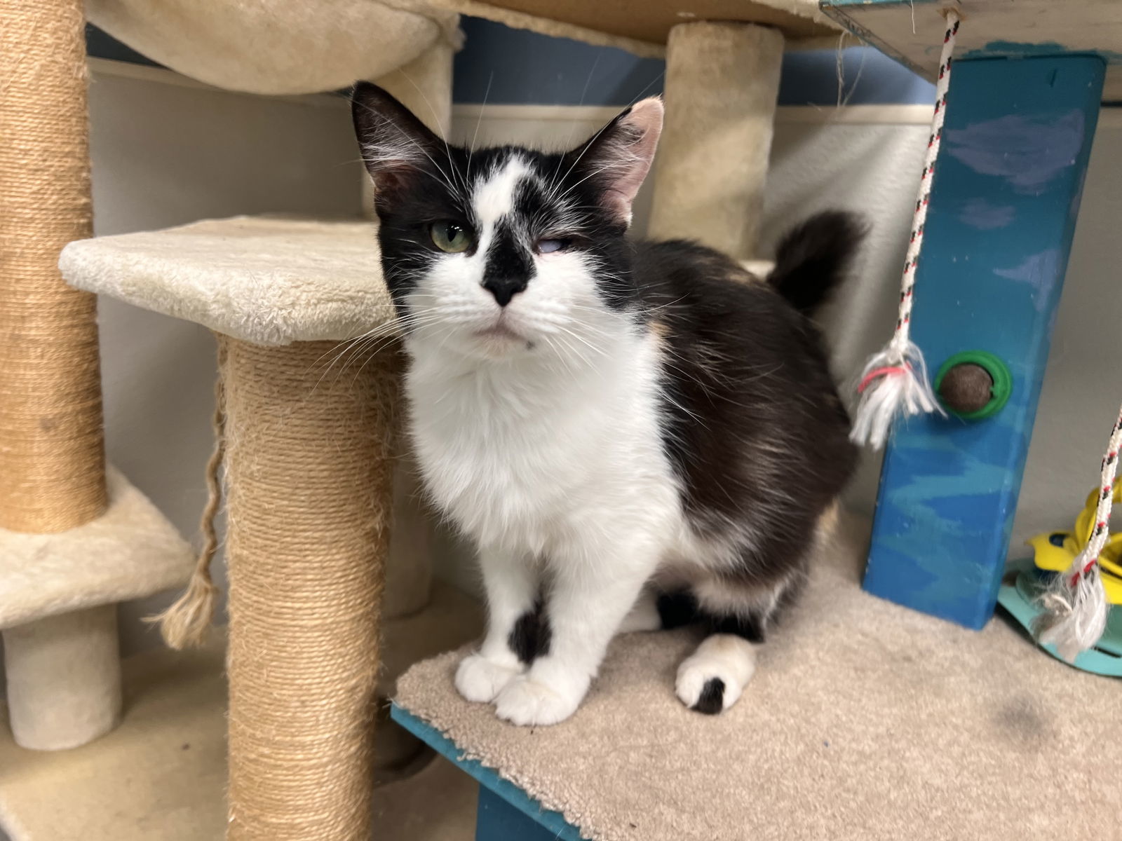 Charlotte- Must Apply in Person