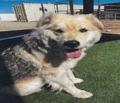 Nina (A115197)